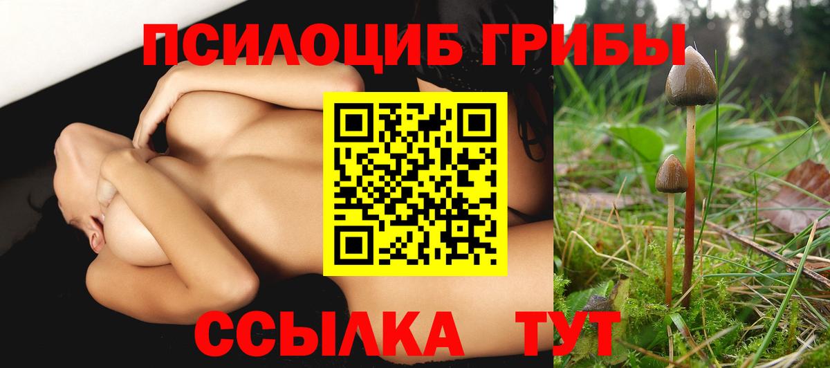 Галлюциногенные грибы ЛСД Апрелевка