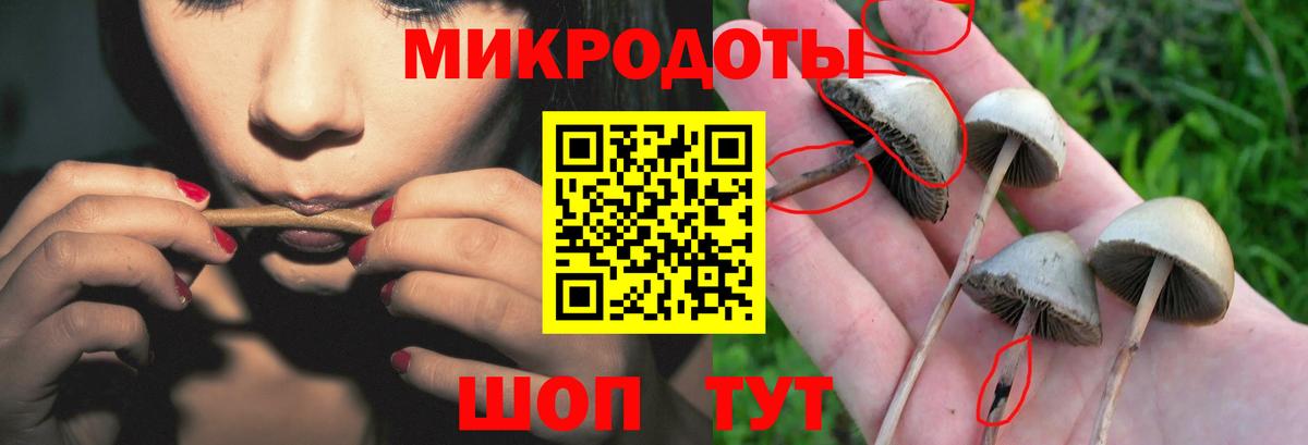 Апрелевка  Псилоцибиновые грибы мицелий  Вход с VPN 